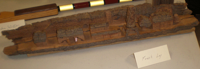 Frank Lay bark carving