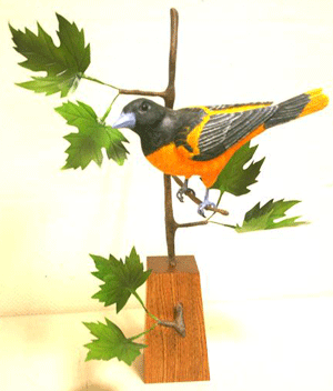 oriole