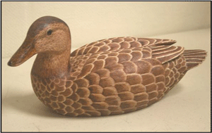 teal hen