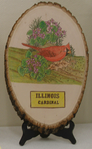 cardinal
