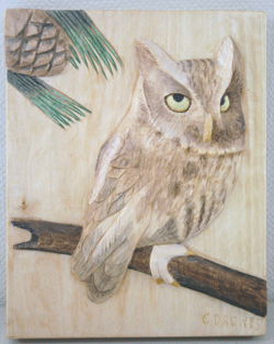 owl