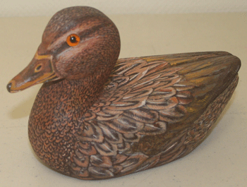 mallard