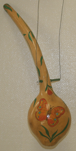 butterfly gourd