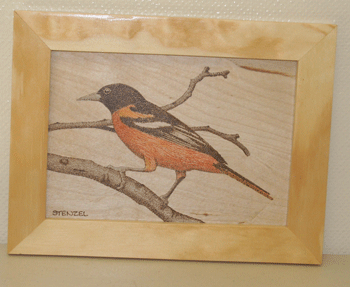 oriole