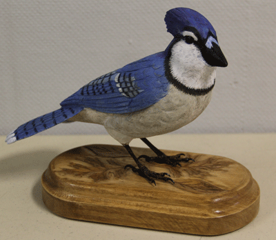 blue jay