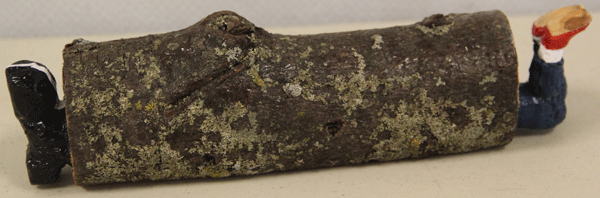 log