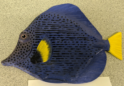 blue fish