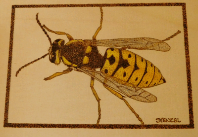 bee