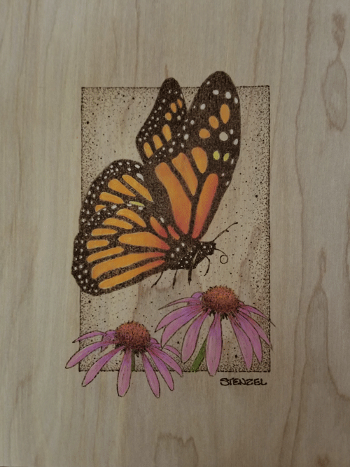 monarch butterfly
