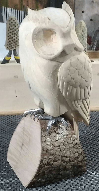 owl