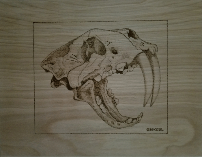 tiger skull