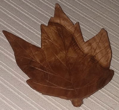 leaf