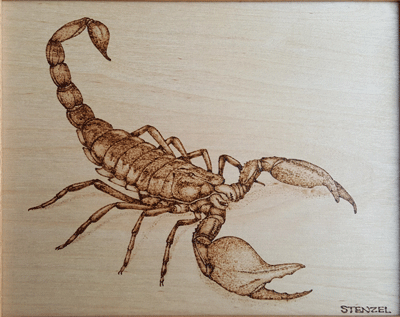 scorpion