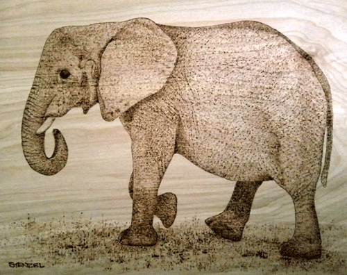 elephant