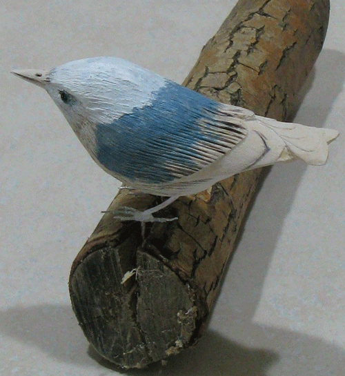 nuthatche