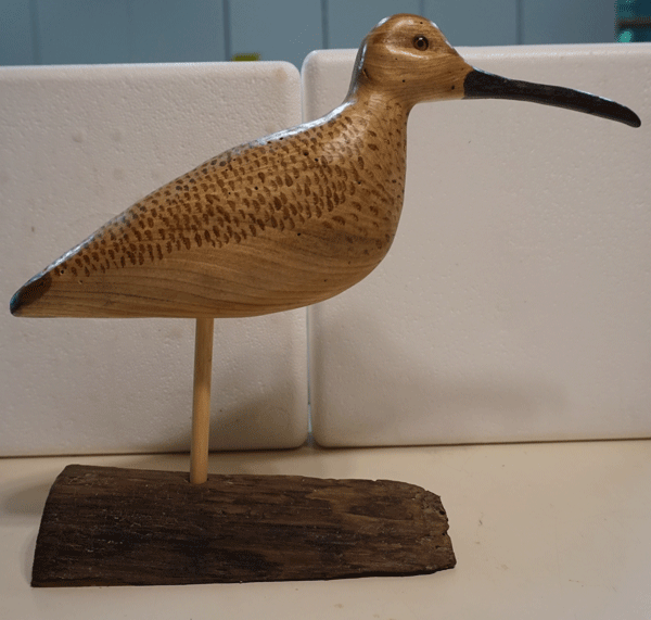 whimbrel
