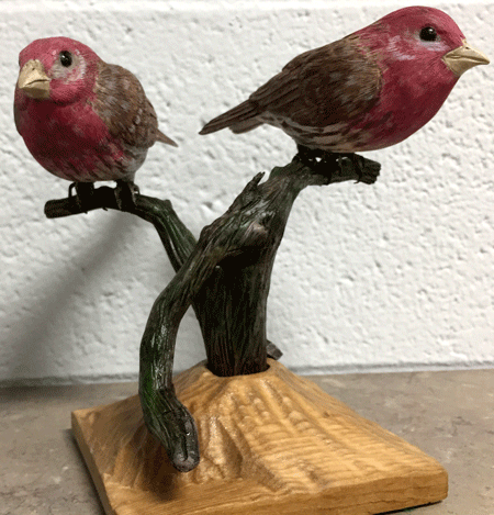 house finch