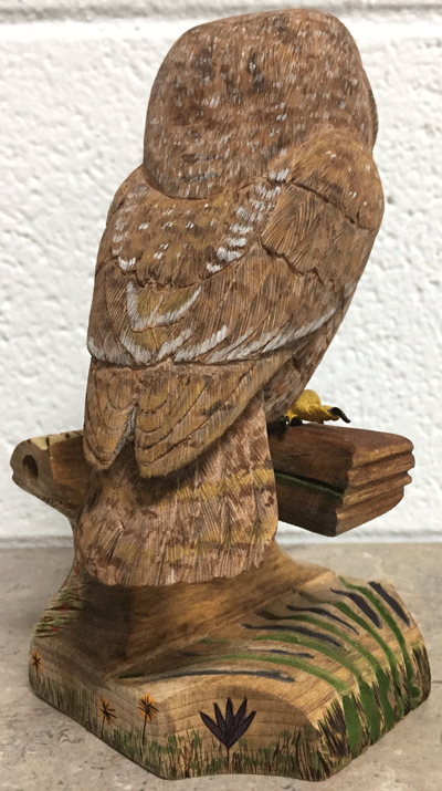 owl