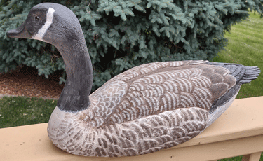 goose