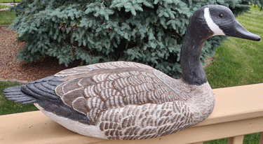 goose
