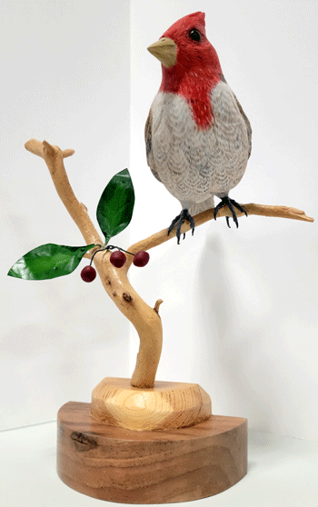 bird