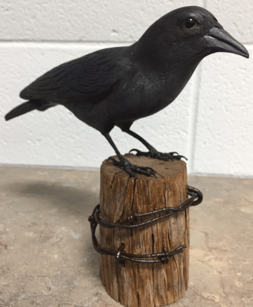 raven