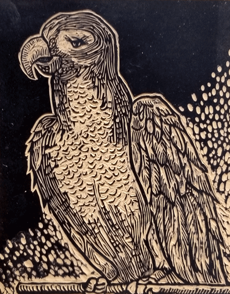 bird