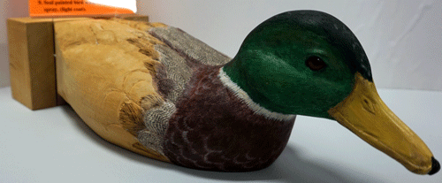 duck
