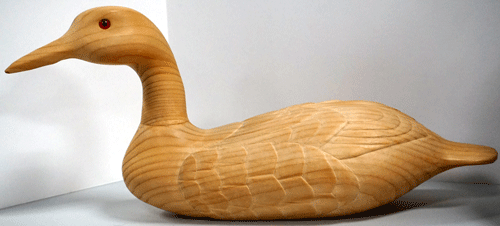 loon