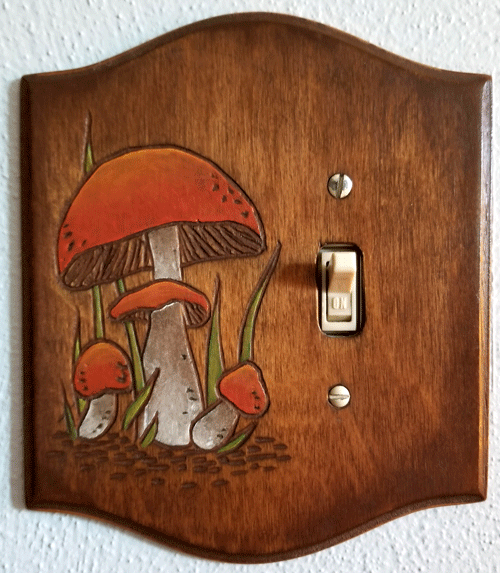 light switch