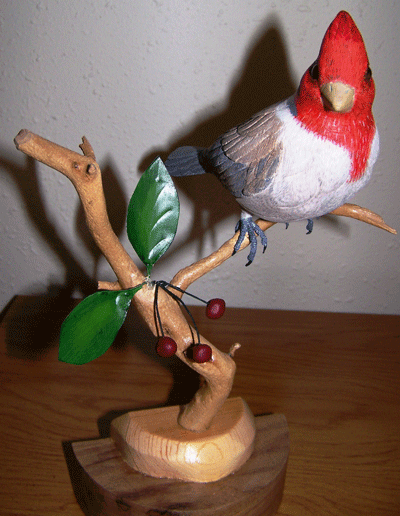 Red Creasted Cardinal