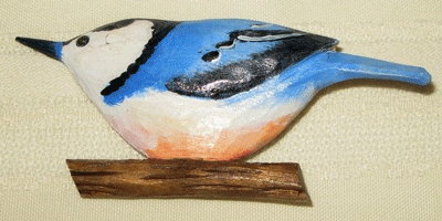 nuthatch