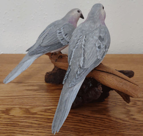 birds