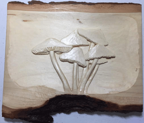 mushrooms