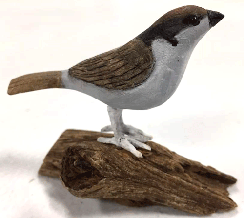 bird