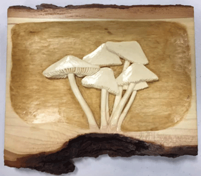 mushrooms