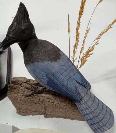 bird