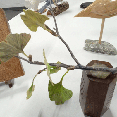 ginko leave