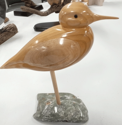shore bird