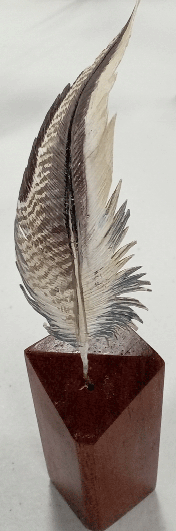 feather