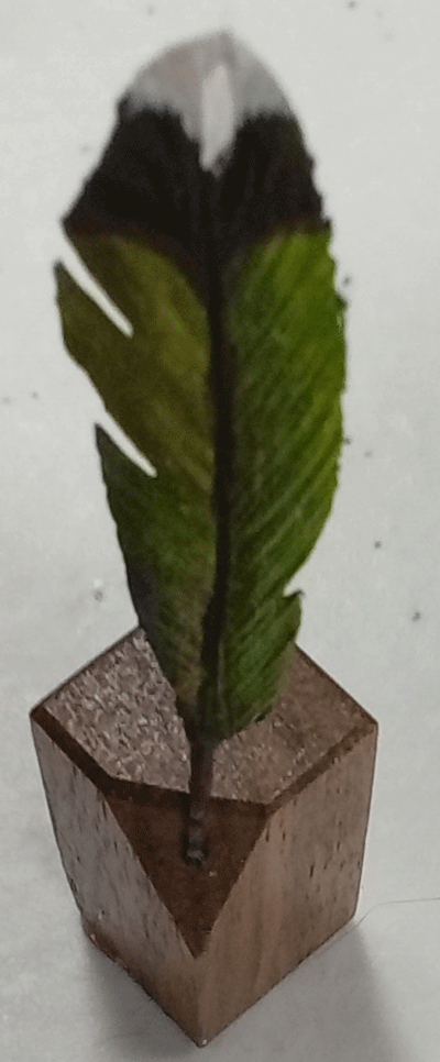 feather