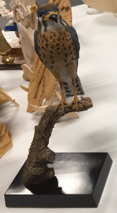 bird
