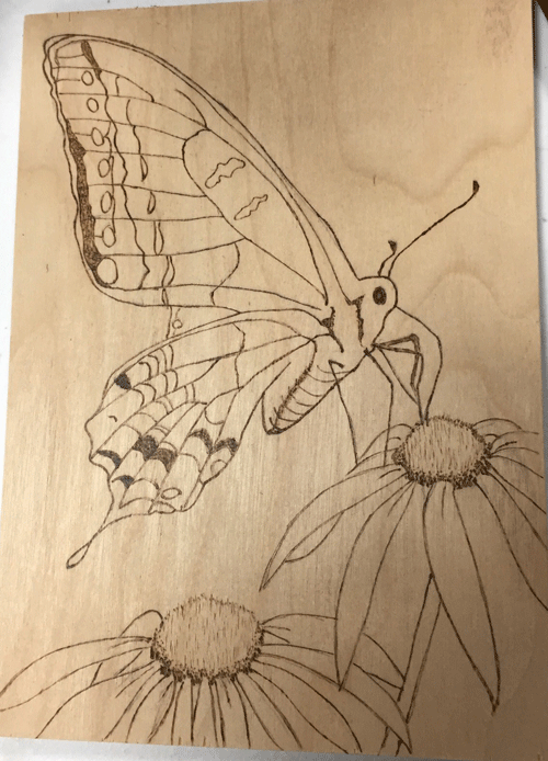 butterfly