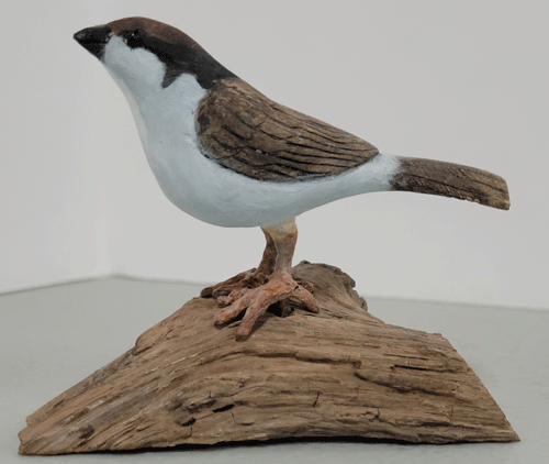 bird