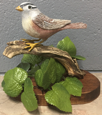bird