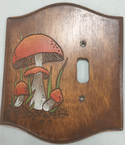 switch plate