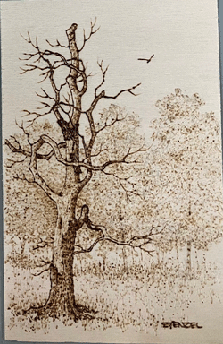 trees