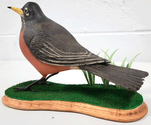 robin